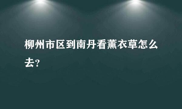 柳州市区到南丹看薰衣草怎么去？