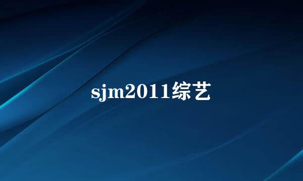 sjm2011综艺