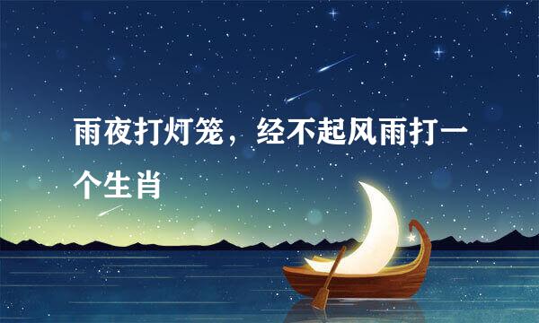 雨夜打灯笼，经不起风雨打一个生肖