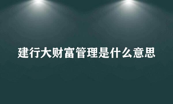 建行大财富管理是什么意思