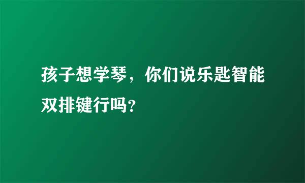 孩子想学琴，你们说乐匙智能双排键行吗？