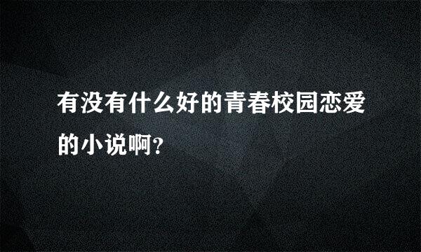 有没有什么好的青春校园恋爱的小说啊？