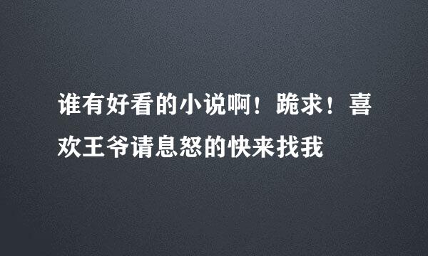 谁有好看的小说啊！跪求！喜欢王爷请息怒的快来找我