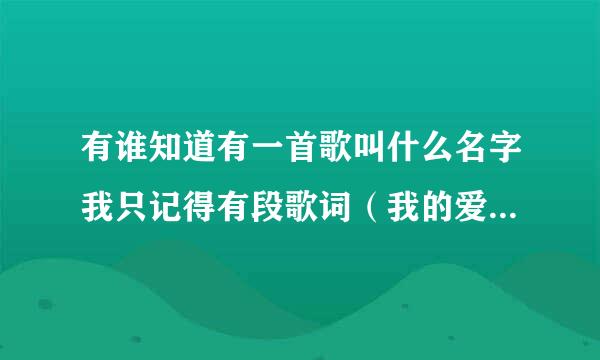 有谁知道有一首歌叫什么名字我只记得有段歌词（我的爱从四面八方攻击你）