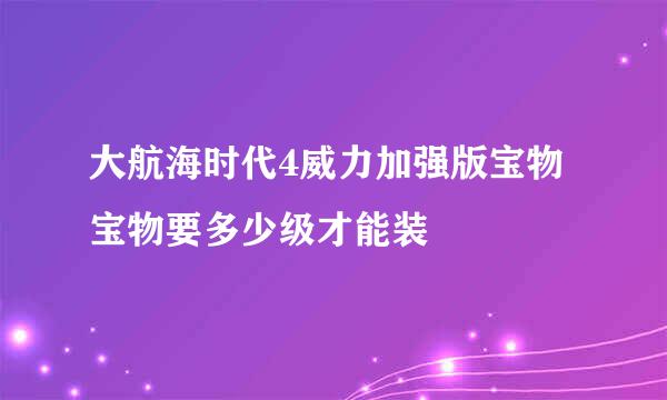 大航海时代4威力加强版宝物宝物要多少级才能装