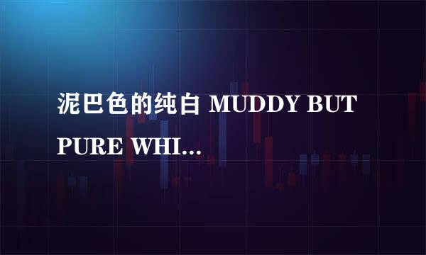 泥巴色的纯白 MUDDY BUT PURE WHITE怎么样