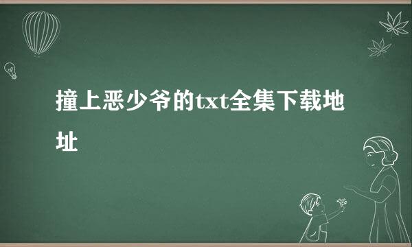 撞上恶少爷的txt全集下载地址