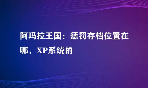 阿玛拉王国：惩罚存档位置在哪，XP系统的