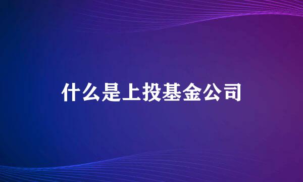 什么是上投基金公司