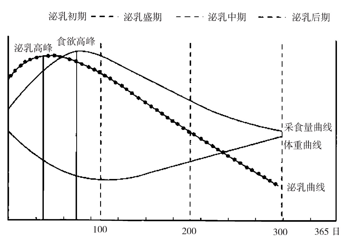 奶牛养殖怎么养