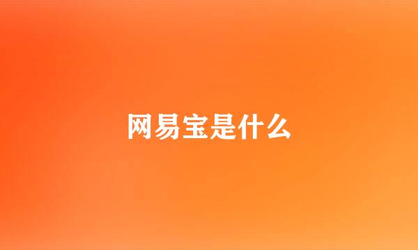 网易宝是什么