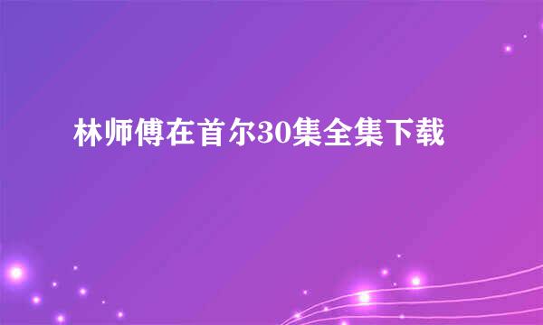 林师傅在首尔30集全集下载