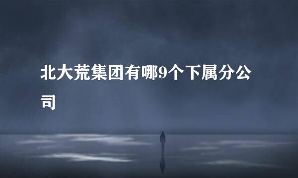 北大荒集团有哪9个下属分公司