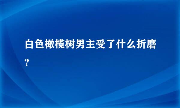 白色橄榄树男主受了什么折磨？