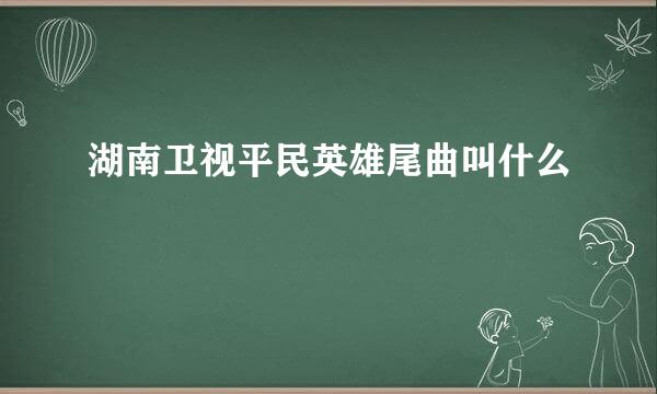 湖南卫视平民英雄尾曲叫什么