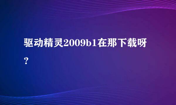 驱动精灵2009b1在那下载呀？