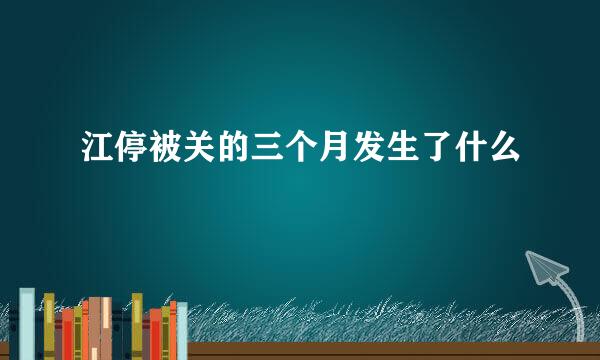 江停被关的三个月发生了什么