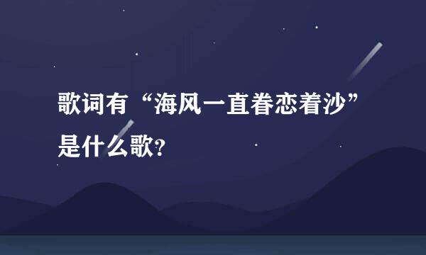 歌词有“海风一直眷恋着沙”是什么歌？