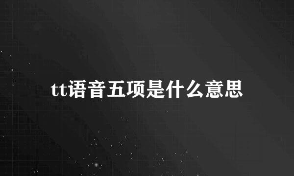 tt语音五项是什么意思