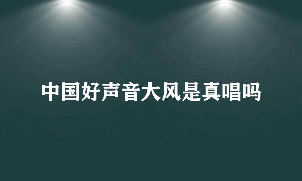 中国好声音大风是真唱吗