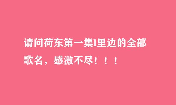 请问荷东第一集l里边的全部歌名，感激不尽！！！