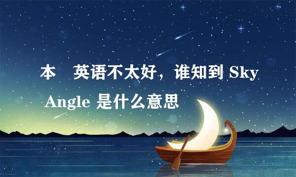 本屌英语不太好，谁知到 Sky Angle 是什么意思