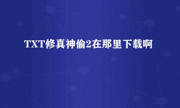 TXT修真神偷2在那里下载啊