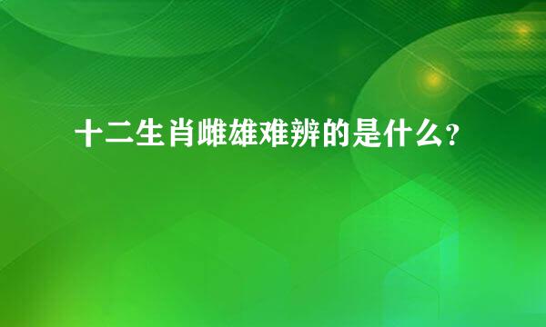 十二生肖雌雄难辨的是什么？