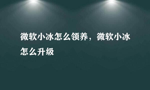 微软小冰怎么领养，微软小冰怎么升级