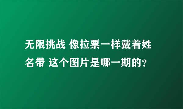 无限挑战 像拉票一样戴着姓名带 这个图片是哪一期的？