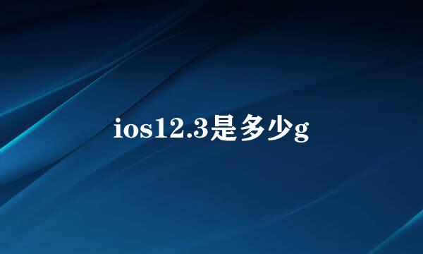 ios12.3是多少g