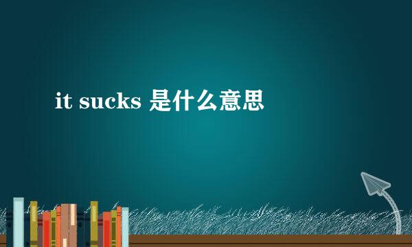 it sucks 是什么意思