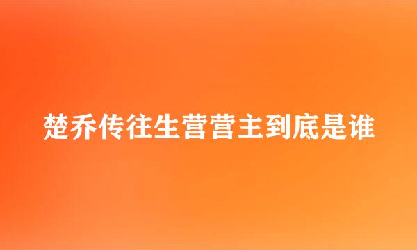 楚乔传往生营营主到底是谁