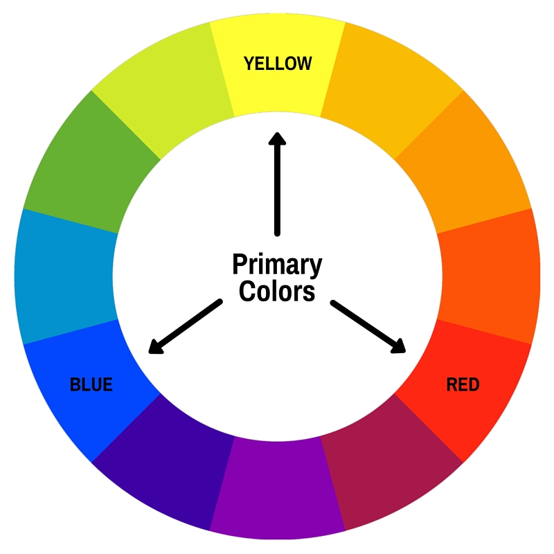 primary这个英语单词怎么读