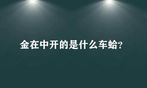 金在中开的是什么车蛤？