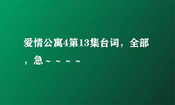 爱情公寓4第13集台词，全部，急～～～～