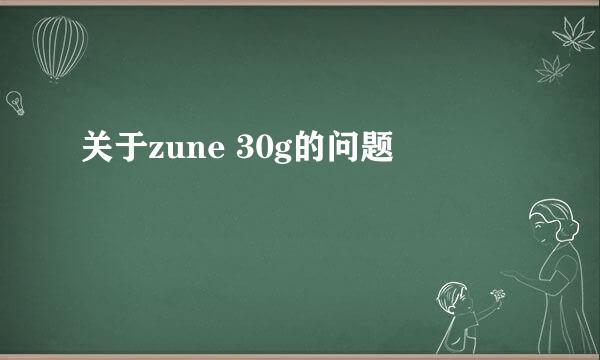 关于zune 30g的问题