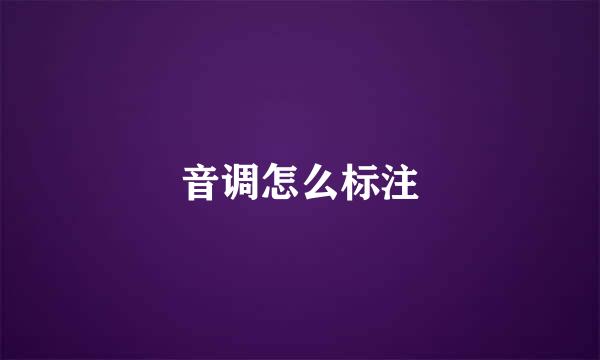 音调怎么标注