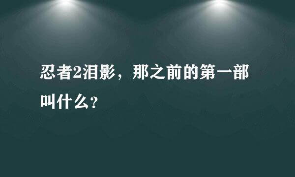 忍者2泪影，那之前的第一部叫什么？