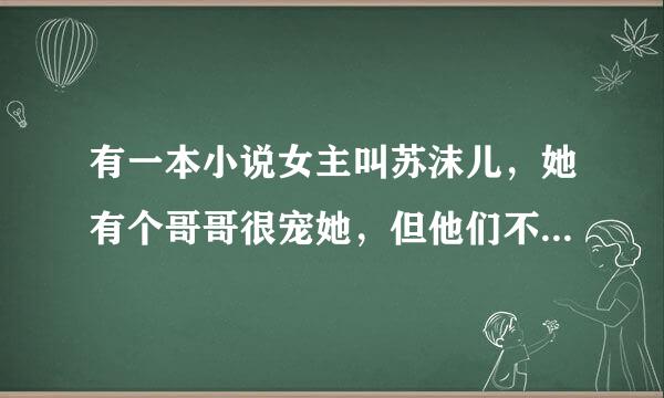 有一本小说女主叫苏沫儿，她有个哥哥很宠她，但他们不是亲生的