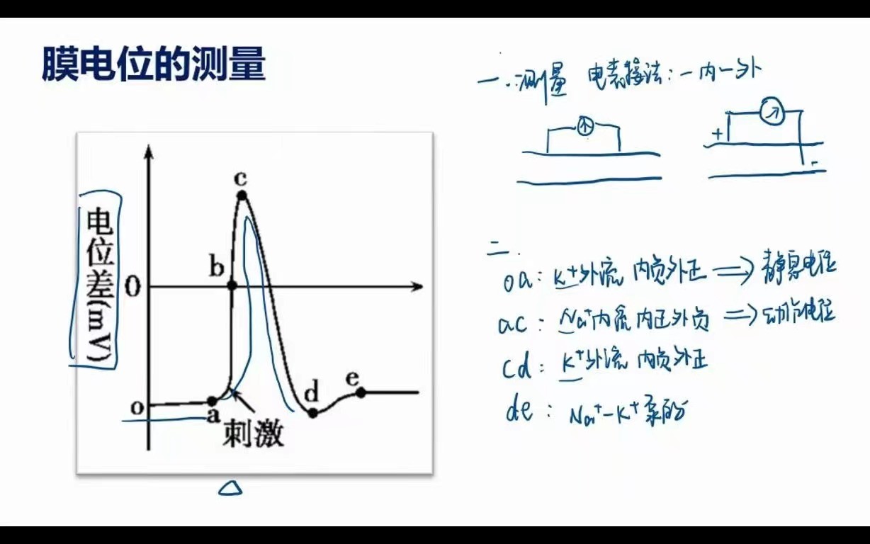 电位差是什么意思