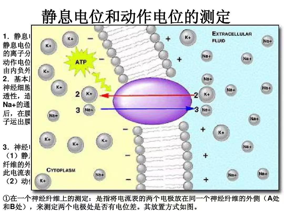 电位差是什么意思