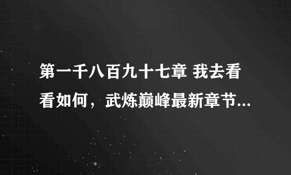 第一千八百九十七章 我去看看如何，武炼巅峰最新章节，涅书小说网