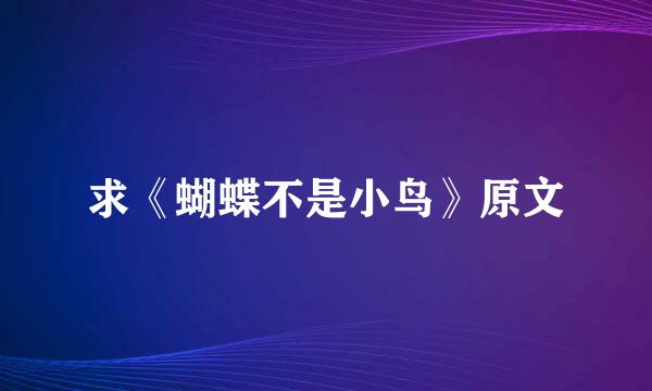 求《蝴蝶不是小鸟》原文