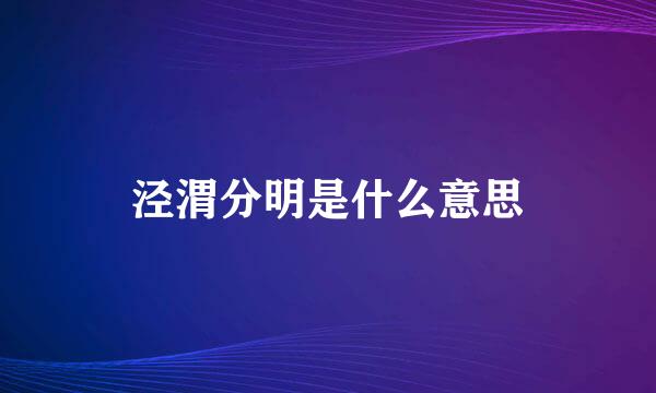 泾渭分明是什么意思