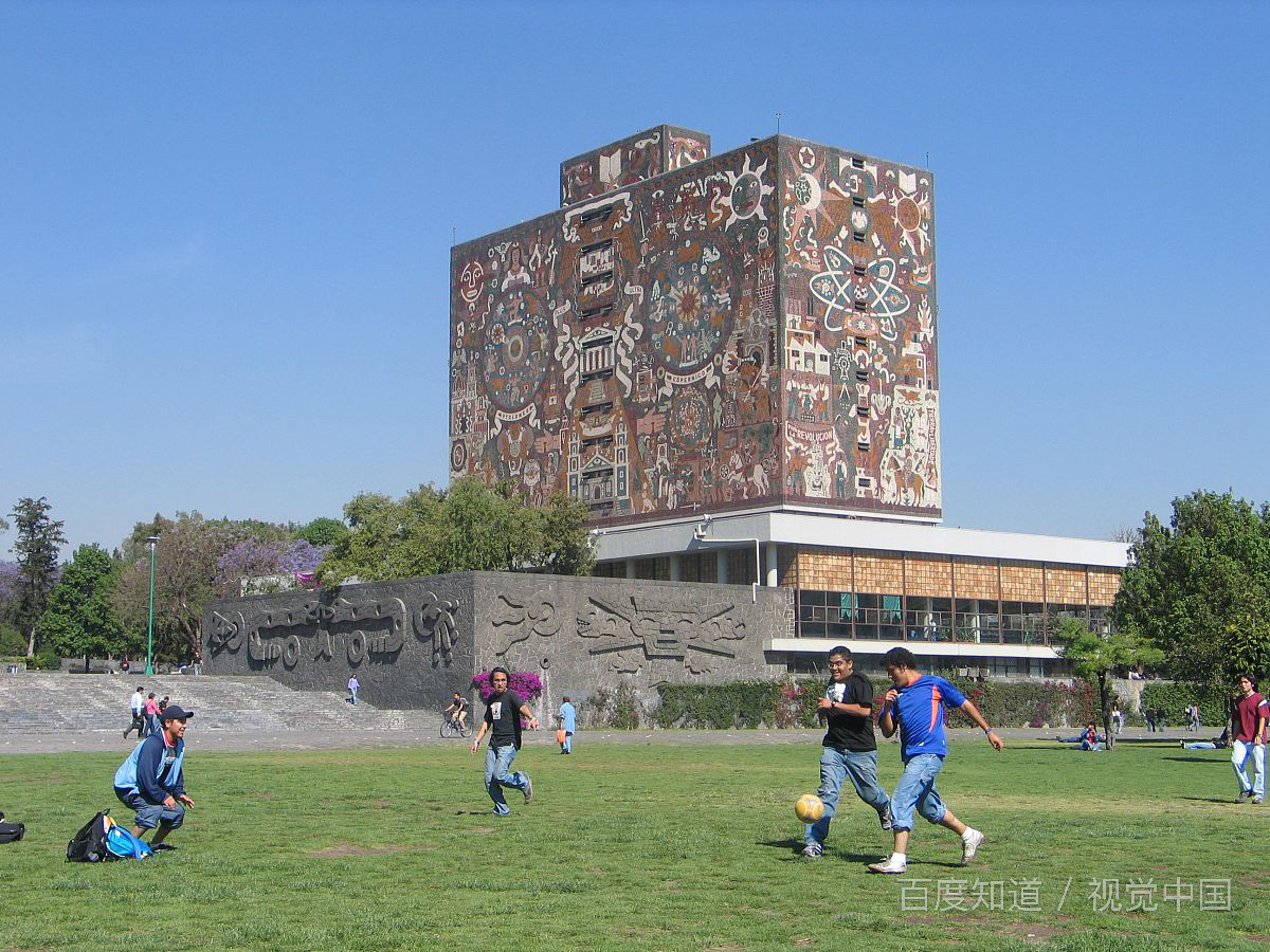 什么是大学