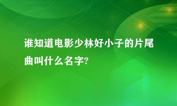 谁知道电影少林好小子的片尾曲叫什么名字?