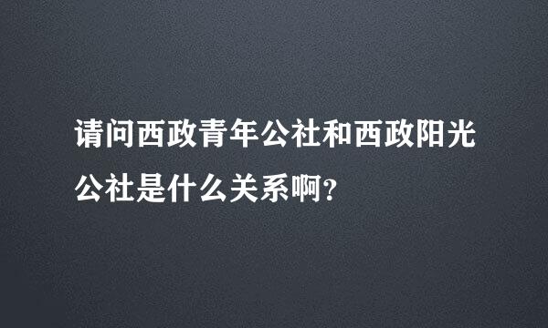 请问西政青年公社和西政阳光公社是什么关系啊？