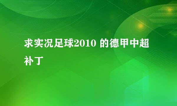 求实况足球2010 的德甲中超补丁