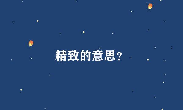 精致的意思？